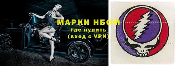 тгк Бородино