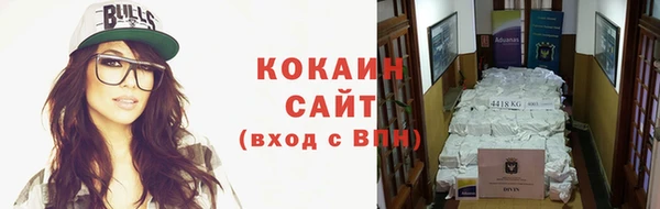 тгк Бородино