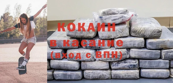 стаф Инта