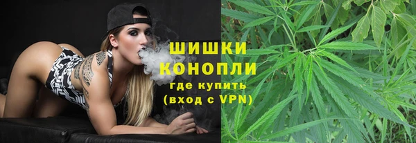 тгк Бородино