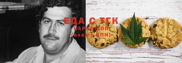 тгк Бородино